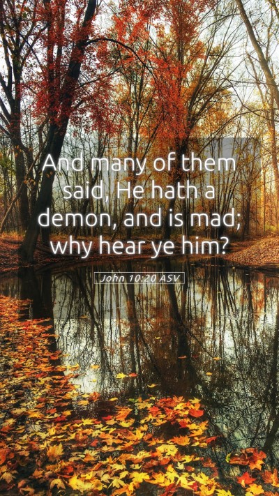 Picture 05 - John 10:20 ASV Mobile Phone Wallpaper - And many of them said, He hath a demon, and is - Mobile Bible Verse Wallpaper