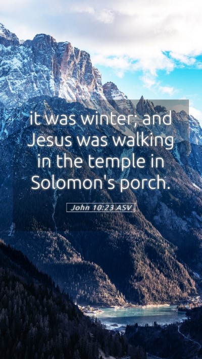 Picture 05 - John 10:23 ASV Mobile Phone Wallpaper - it was winter; and Jesus was walking in the - Mobile Bible Verse Wallpaper