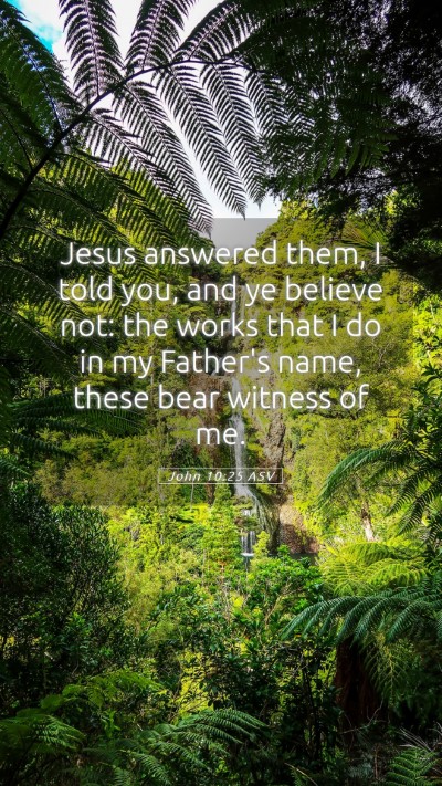 Picture 05 - John 10:25 ASV Mobile Phone Wallpaper - Jesus answered them, I told you, and ye believe - Mobile Bible Verse Wallpaper