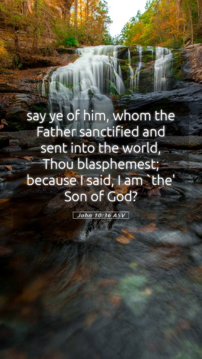 Picture 05 - John 10:36 ASV Mobile Phone Wallpaper - say ye of him, whom the Father sanctified and - Mobile Bible Verse Wallpaper
