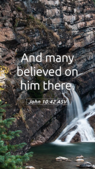 Picture 05 - John 10:42 ASV Mobile Phone Wallpaper - And many believed on him - Mobile Bible Verse Wallpaper