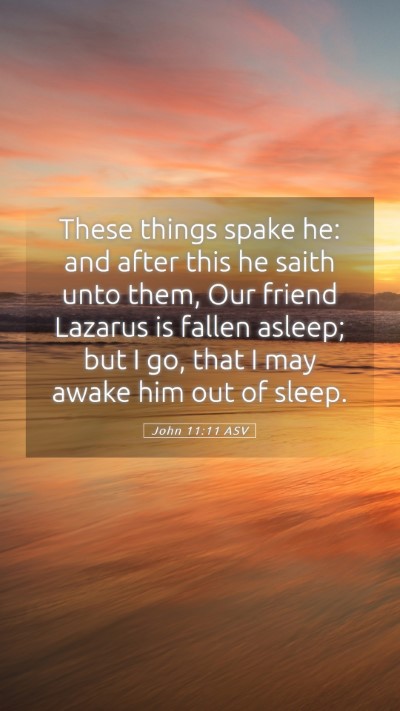 Picture 05 - John 11:11 ASV Mobile Phone Wallpaper - These things spake he: and after this he saith - Mobile Bible Verse Wallpaper