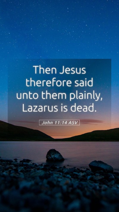 Picture 05 - John 11:14 ASV Mobile Phone Wallpaper - Then Jesus therefore said unto them plainly, - Mobile Bible Verse Wallpaper