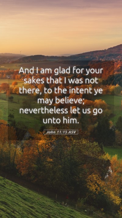 Picture 05 - John 11:15 ASV Mobile Phone Wallpaper - And I am glad for your sakes that I was not - Mobile Bible Verse Wallpaper