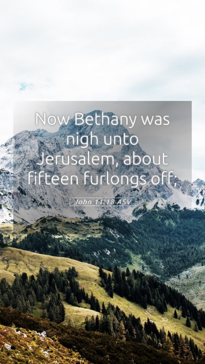 Picture 05 - John 11:18 ASV Mobile Phone Wallpaper - Now Bethany was nigh unto Jerusalem, about - Mobile Bible Verse Wallpaper