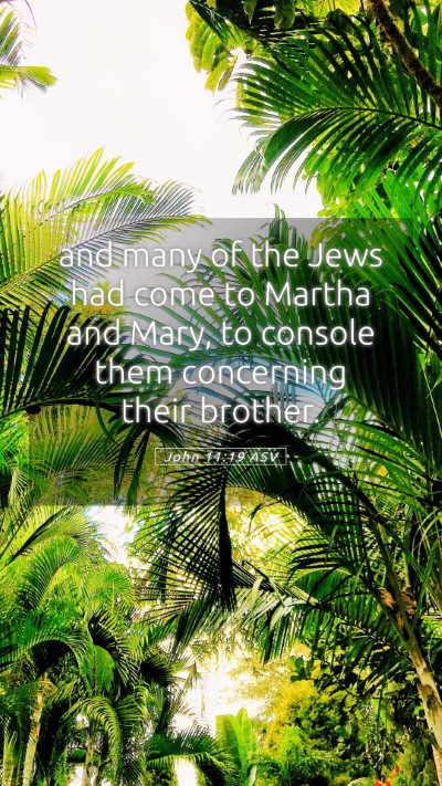 Picture 05 - John 11:19 ASV Mobile Phone Wallpaper - and many of the Jews had come to Martha and Mary, - Mobile Bible Verse Wallpaper