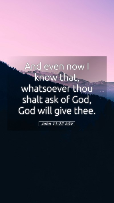 Picture 05 - John 11:22 ASV Mobile Phone Wallpaper - And even now I know that, whatsoever thou shalt - Mobile Bible Verse Wallpaper
