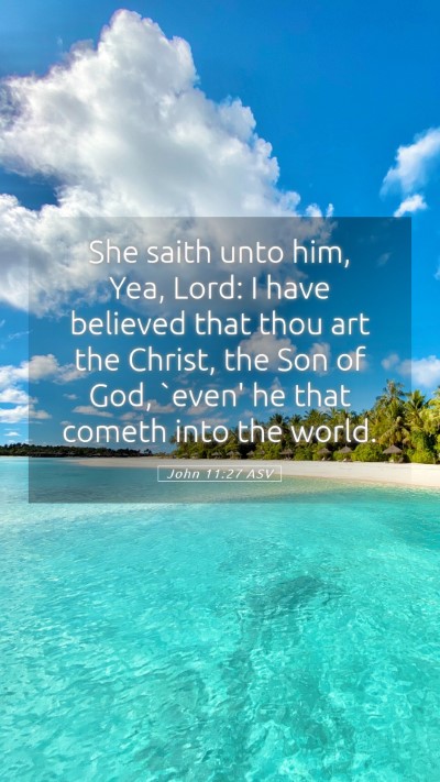 Picture 05 - John 11:27 ASV Mobile Phone Wallpaper - She saith unto him, Yea, Lord: I have believed - Mobile Bible Verse Wallpaper