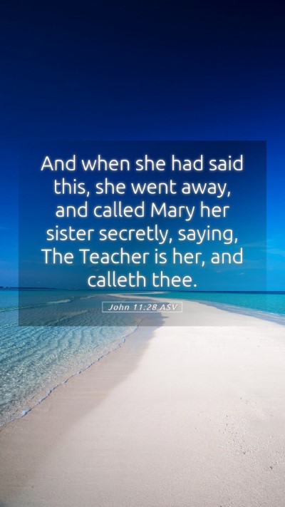 Picture 05 - John 11:28 ASV Mobile Phone Wallpaper - And when she had said this, she went away, and - Mobile Bible Verse Wallpaper