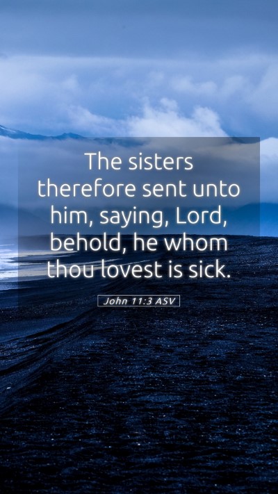 Picture 05 - John 11:3 ASV Mobile Phone Wallpaper - The sisters therefore sent unto him, saying, - Mobile Bible Verse Wallpaper
