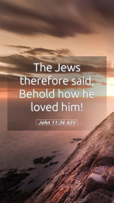 Picture 05 - John 11:36 ASV Mobile Phone Wallpaper - The Jews therefore said, Behold how he loved - Mobile Bible Verse Wallpaper