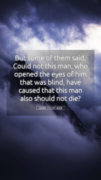 Picture 05 - John 11:37 ASV Mobile Phone Wallpaper - But some of them said, Could not this man, who - Mobile Bible Verse Wallpaper