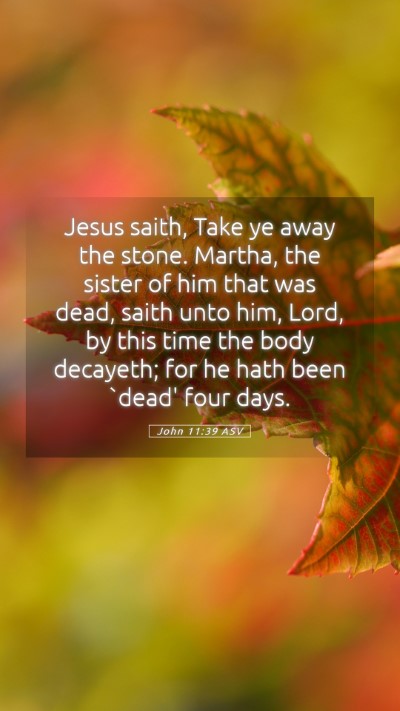 Picture 05 - John 11:39 ASV Mobile Phone Wallpaper - Jesus saith, Take ye away the stone. Martha, the - Mobile Bible Verse Wallpaper