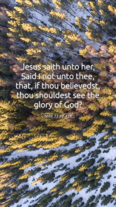 Picture 05 - John 11:40 ASV Mobile Phone Wallpaper - Jesus saith unto her, Said I not unto thee, that, - Mobile Bible Verse Wallpaper