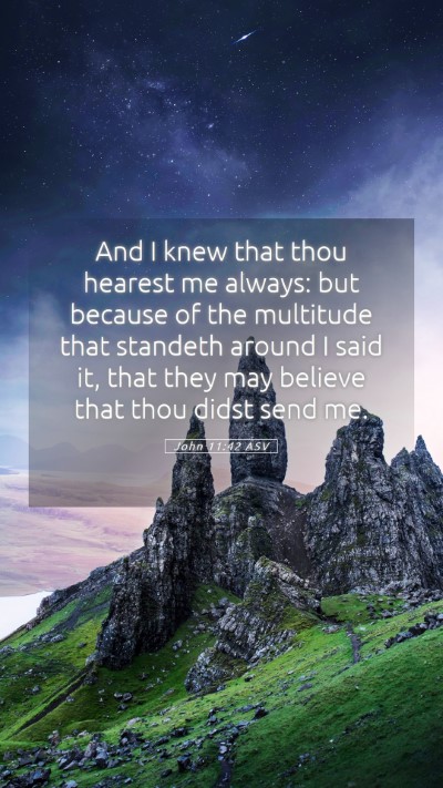 Picture 05 - John 11:42 ASV Mobile Phone Wallpaper - And I knew that thou hearest me always: but - Mobile Bible Verse Wallpaper