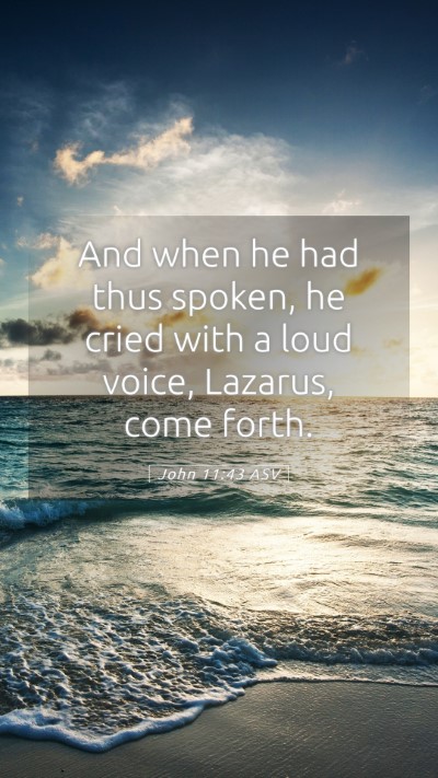 Picture 05 - John 11:43 ASV Mobile Phone Wallpaper - And when he had thus spoken, he cried with a loud - Mobile Bible Verse Wallpaper