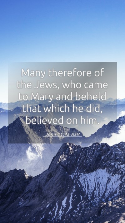 Picture 05 - John 11:45 ASV Mobile Phone Wallpaper - Many therefore of the Jews, who came to Mary and - Mobile Bible Verse Wallpaper