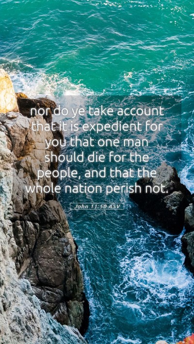 Picture 05 - John 11:50 ASV Mobile Phone Wallpaper - nor do ye take account that it is expedient for - Mobile Bible Verse Wallpaper
