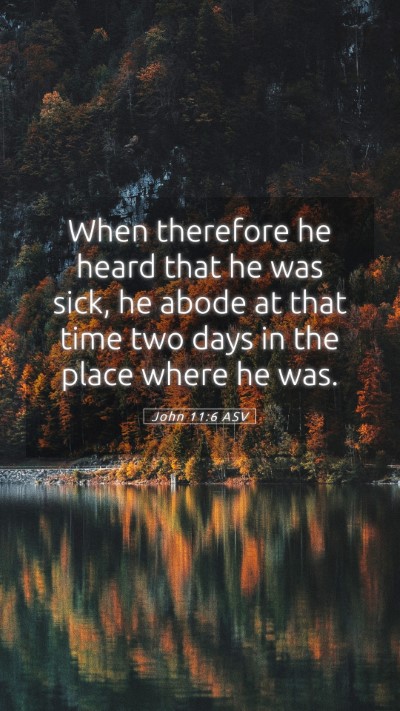 Picture 05 - John 11:6 ASV Mobile Phone Wallpaper - When therefore he heard that he was sick, he - Mobile Bible Verse Wallpaper