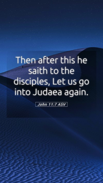 Picture 05 - John 11:7 ASV Mobile Phone Wallpaper - Then after this he saith to the disciples, Let us - Mobile Bible Verse Wallpaper