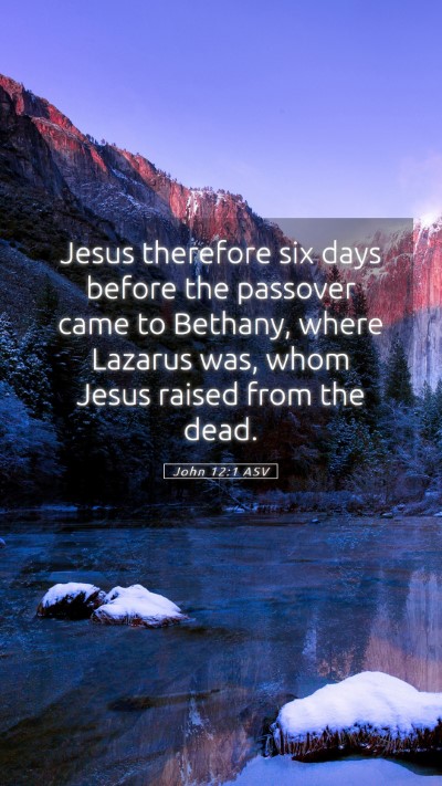 Picture 05 - John 12:1 ASV Mobile Phone Wallpaper - Jesus therefore six days before the passover came - Mobile Bible Verse Wallpaper