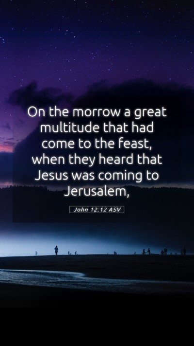 Picture 05 - John 12:12 ASV Mobile Phone Wallpaper - On the morrow a great multitude that had come to - Mobile Bible Verse Wallpaper