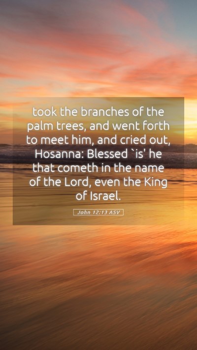Picture 05 - John 12:13 ASV Mobile Phone Wallpaper - took the branches of the palm trees, and went - Mobile Bible Verse Wallpaper