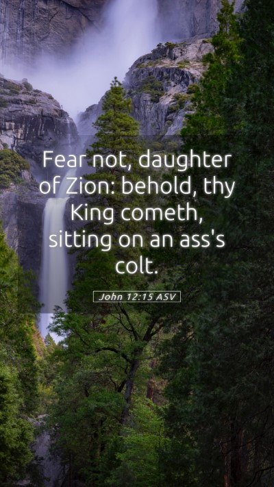 Picture 05 - John 12:15 ASV Mobile Phone Wallpaper - Fear not, daughter of Zion: behold, thy King - Mobile Bible Verse Wallpaper
