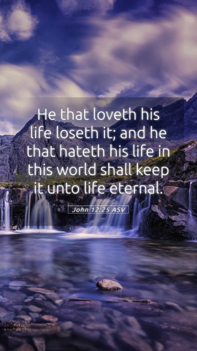 Picture 05 - John 12:25 ASV Mobile Phone Wallpaper - He that loveth his life loseth it; and he that - Mobile Bible Verse Wallpaper