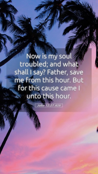 Picture 05 - John 12:27 ASV Mobile Phone Wallpaper - Now is my soul troubled; and what shall I say? - Mobile Bible Verse Wallpaper