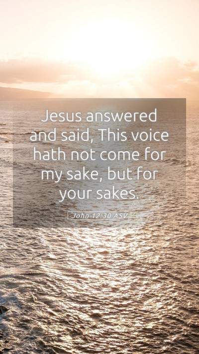 Picture 05 - John 12:30 ASV Mobile Phone Wallpaper - Jesus answered and said, This voice hath not come - Mobile Bible Verse Wallpaper