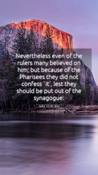 Picture 05 - John 12:42 ASV Mobile Phone Wallpaper - Nevertheless even of the rulers many believed on - Mobile Bible Verse Wallpaper