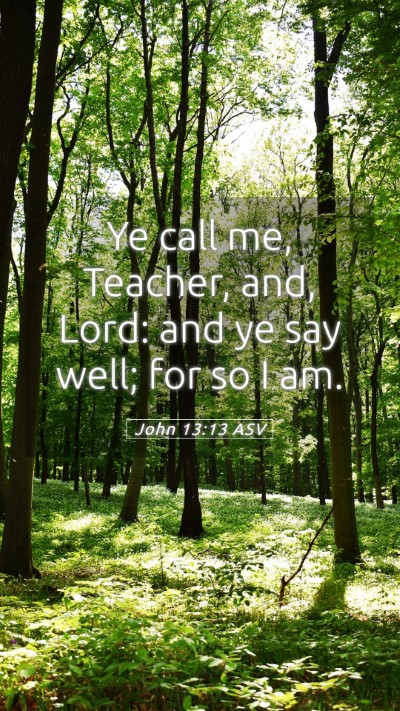 Picture 05 - John 13:13 ASV Mobile Phone Wallpaper - Ye call me, Teacher, and, Lord: and ye say well; - Mobile Bible Verse Wallpaper