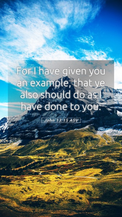 Picture 05 - John 13:15 ASV Mobile Phone Wallpaper - For I have given you an example, that ye also - Mobile Bible Verse Wallpaper