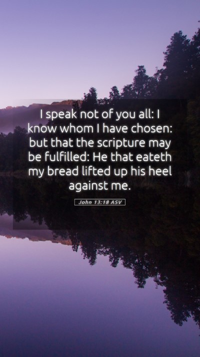 Picture 05 - John 13:18 ASV Mobile Phone Wallpaper - I speak not of you all: I know whom I have - Mobile Bible Verse Wallpaper