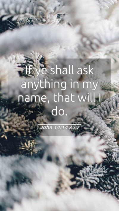 Picture 05 - John 14:14 ASV Mobile Phone Wallpaper - If ye shall ask anything in my name, that will I - Mobile Bible Verse Wallpaper