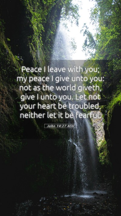 Picture 05 - John 14:27 ASV Mobile Phone Wallpaper - Peace I leave with you; my peace I give unto you: - Mobile Bible Verse Wallpaper