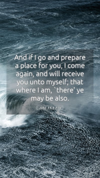 Picture 05 - John 14:3 ASV Mobile Phone Wallpaper - And if I go and prepare a place for you, I come - Mobile Bible Verse Wallpaper