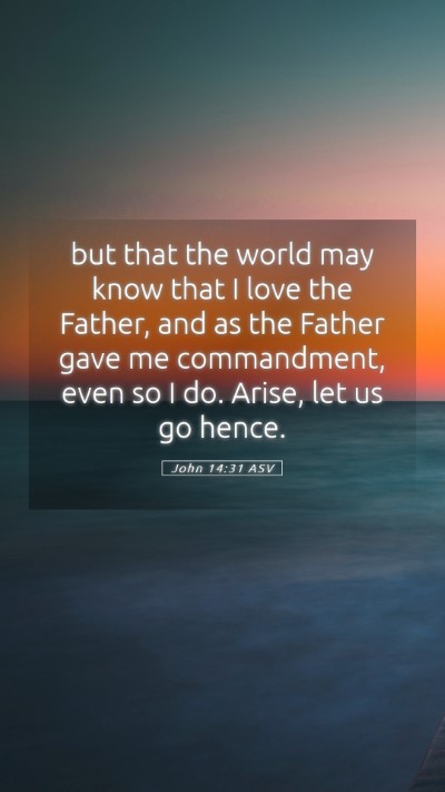 Picture 05 - John 14:31 ASV Mobile Phone Wallpaper - but that the world may know that I love the - Mobile Bible Verse Wallpaper