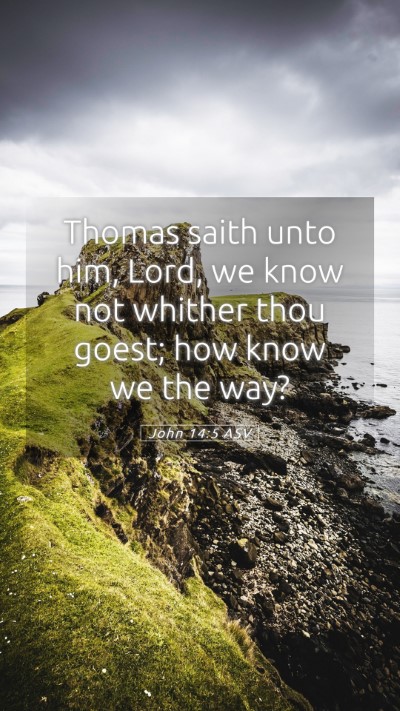 Picture 05 - John 14:5 ASV Mobile Phone Wallpaper - Thomas saith unto him, Lord, we know not whither - Mobile Bible Verse Wallpaper