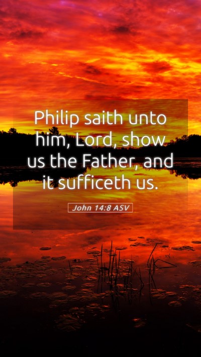 Picture 05 - John 14:8 ASV Mobile Phone Wallpaper - Philip saith unto him, Lord, show us the Father, - Mobile Bible Verse Wallpaper