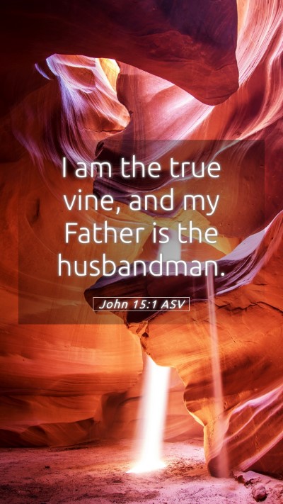 Picture 05 - John 15:1 ASV Mobile Phone Wallpaper - I am the true vine, and my Father is the - Mobile Bible Verse Wallpaper