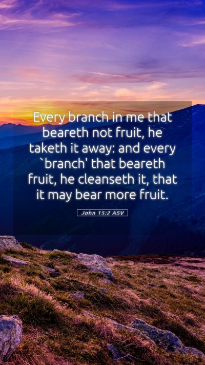 Picture 05 - John 15:2 ASV Mobile Phone Wallpaper - Every branch in me that beareth not fruit, he - Mobile Bible Verse Wallpaper