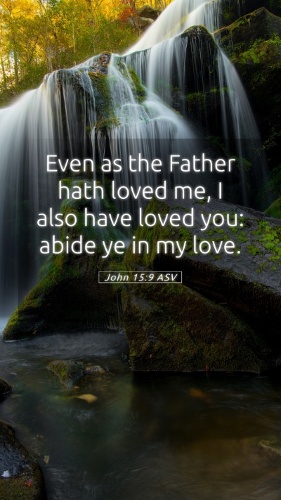 Picture 05 - John 15:9 ASV Mobile Phone Wallpaper - Even as the Father hath loved me, I also have - Mobile Bible Verse Wallpaper