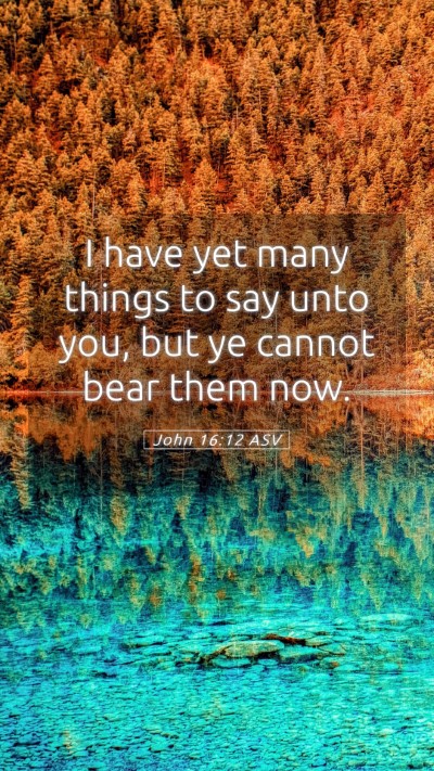 Picture 05 - John 16:12 ASV Mobile Phone Wallpaper - I have yet many things to say unto you, but ye - Mobile Bible Verse Wallpaper