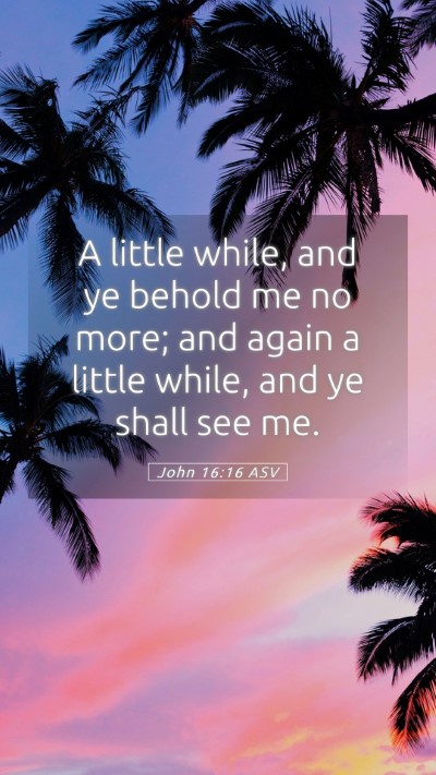 Picture 05 - John 16:16 ASV Mobile Phone Wallpaper - A little while, and ye behold me no more; and - Mobile Bible Verse Wallpaper