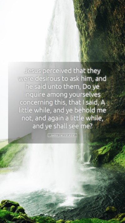 Picture 05 - John 16:19 ASV Mobile Phone Wallpaper - Jesus perceived that they were desirous to ask - Mobile Bible Verse Wallpaper