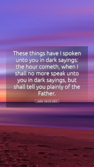 Picture 05 - John 16:25 ASV Mobile Phone Wallpaper - These things have I spoken unto you in dark - Mobile Bible Verse Wallpaper