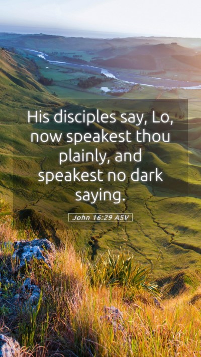 Picture 05 - John 16:29 ASV Mobile Phone Wallpaper - His disciples say, Lo, now speakest thou plainly, - Mobile Bible Verse Wallpaper
