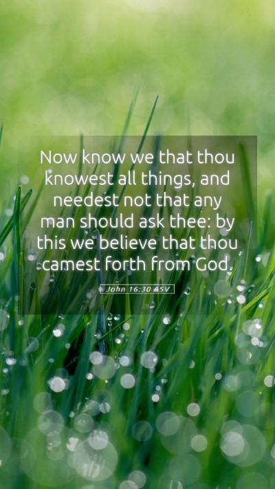 Picture 05 - John 16:30 ASV Mobile Phone Wallpaper - Now know we that thou knowest all things, and - Mobile Bible Verse Wallpaper